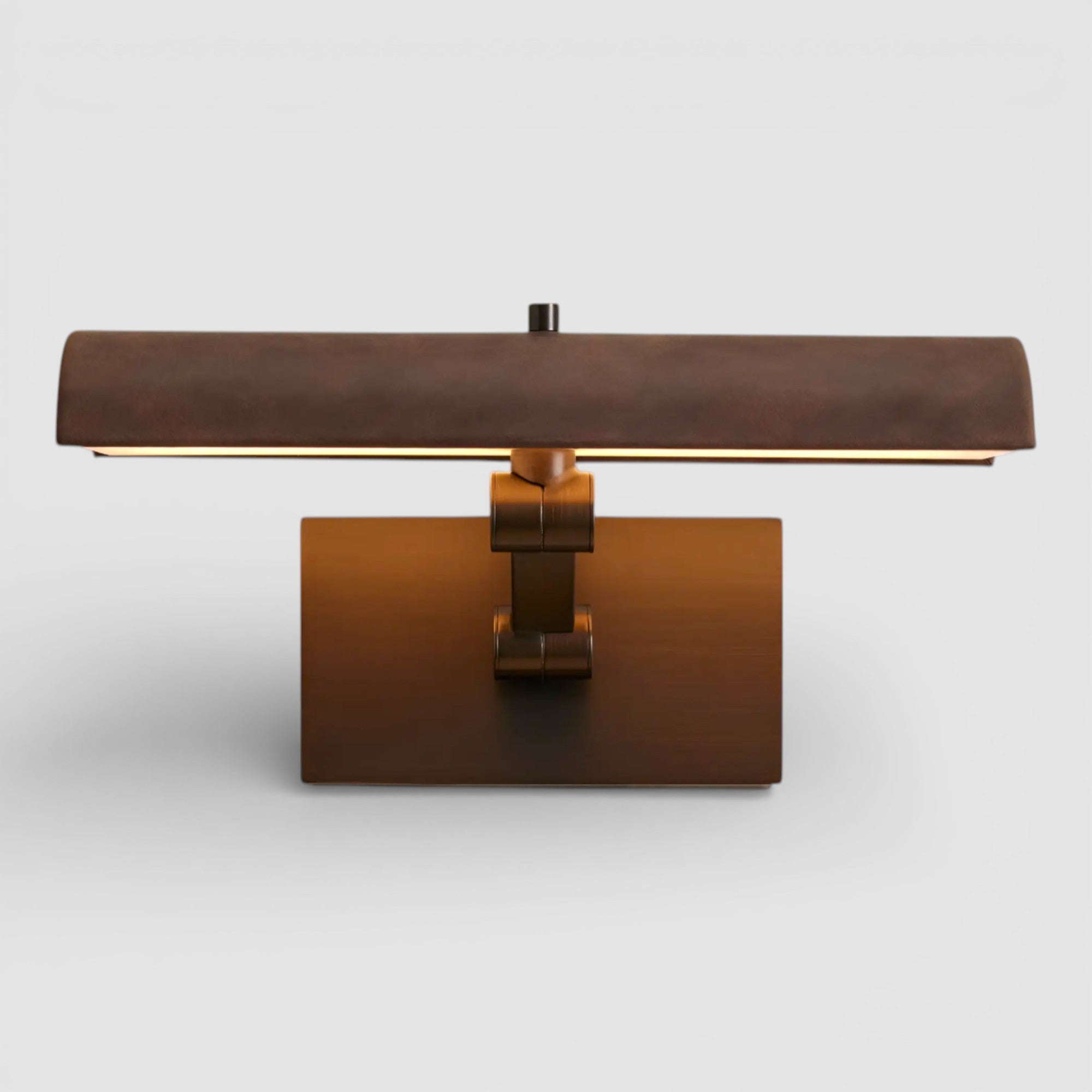 Aybel Picture Light Sconce