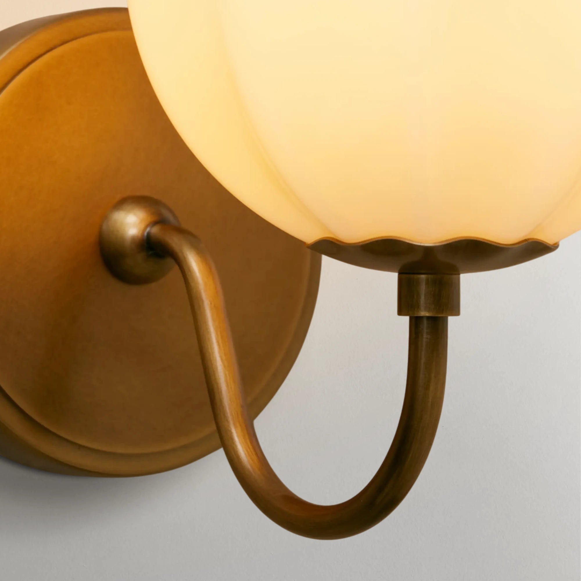 Agnas Gooseneck Sconce